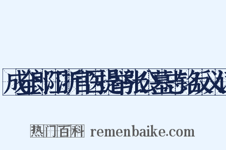 成全郎江浙官医提举张公墓志铭反义词是什么意思的图片